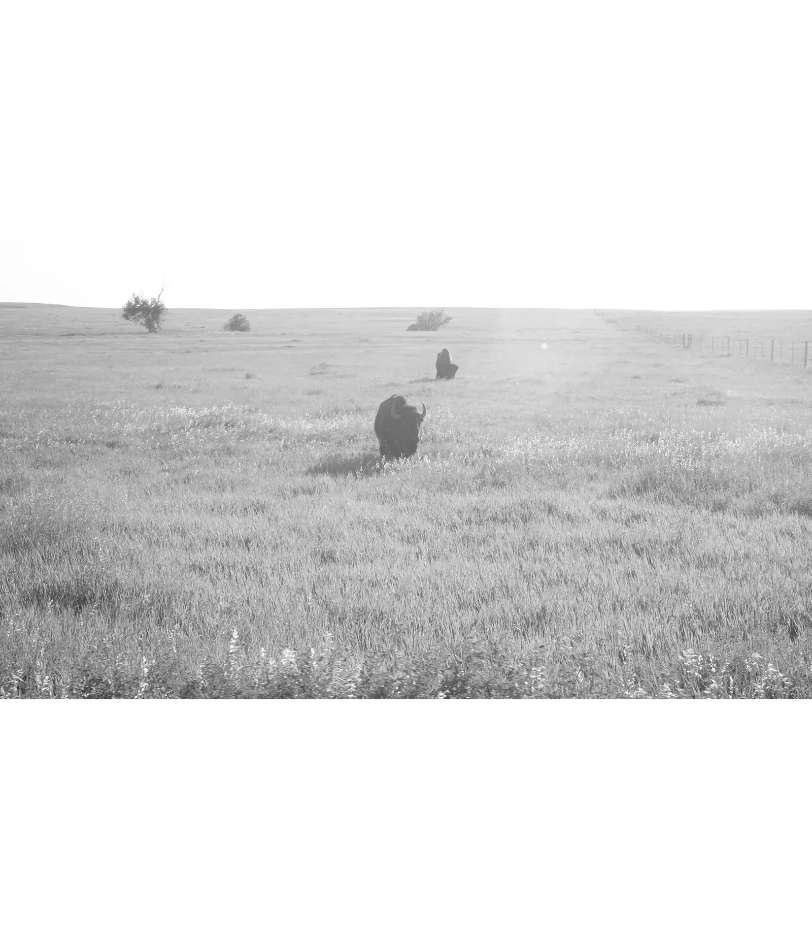 fotografías eduardo martín jimenez 4